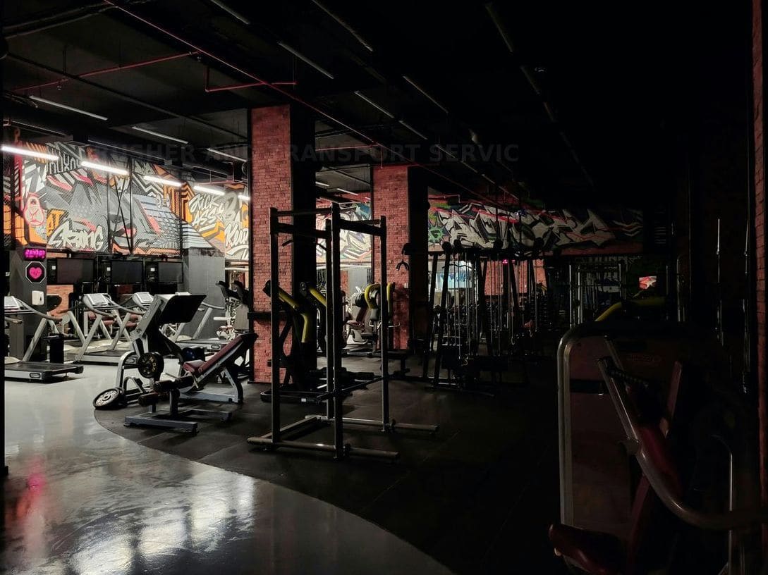 Functional Training und Zirkeltraining